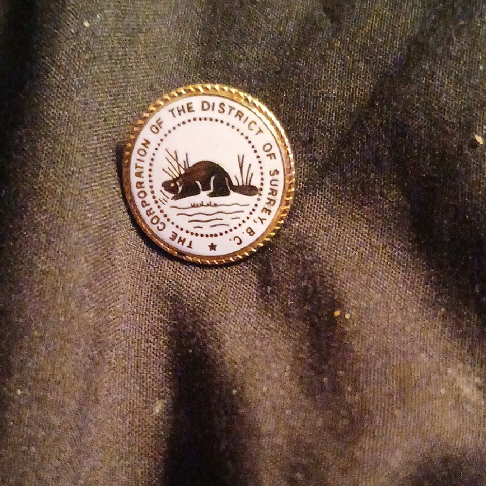 Surrey District Corporation Pin
